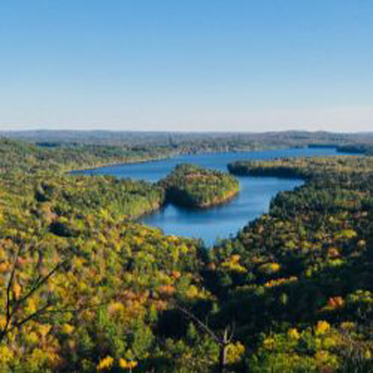 Arial wide shot of water and tree tops in early autum